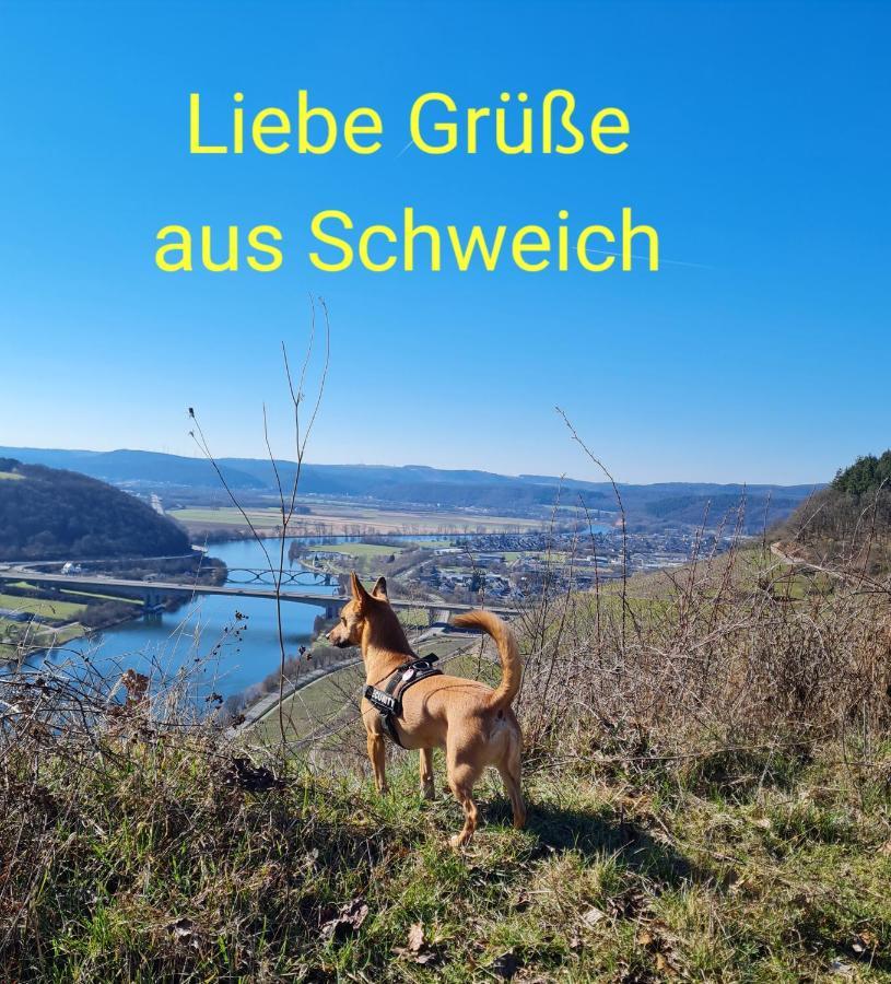 Ferienwohnung Familie Jonas Schweich Exterior foto